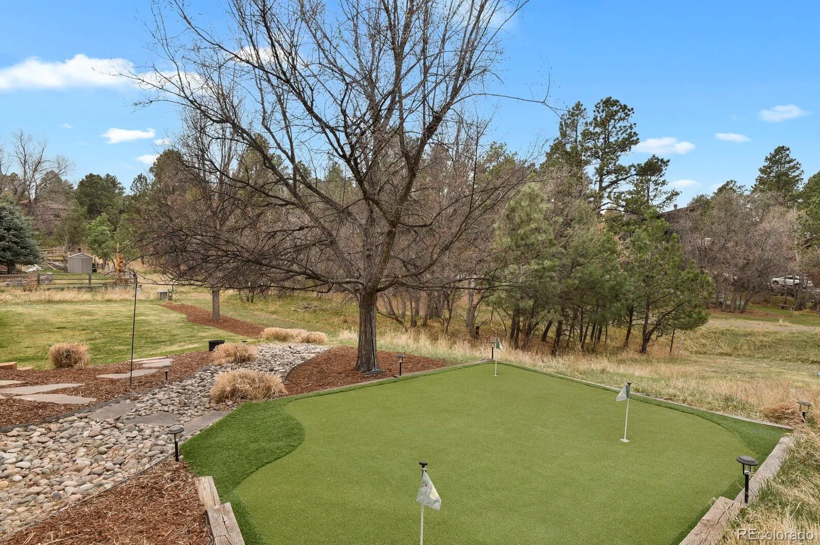 6261 Riviera Court Parker CO 80134 MLS #REC6711131 04012026175212 1600 38