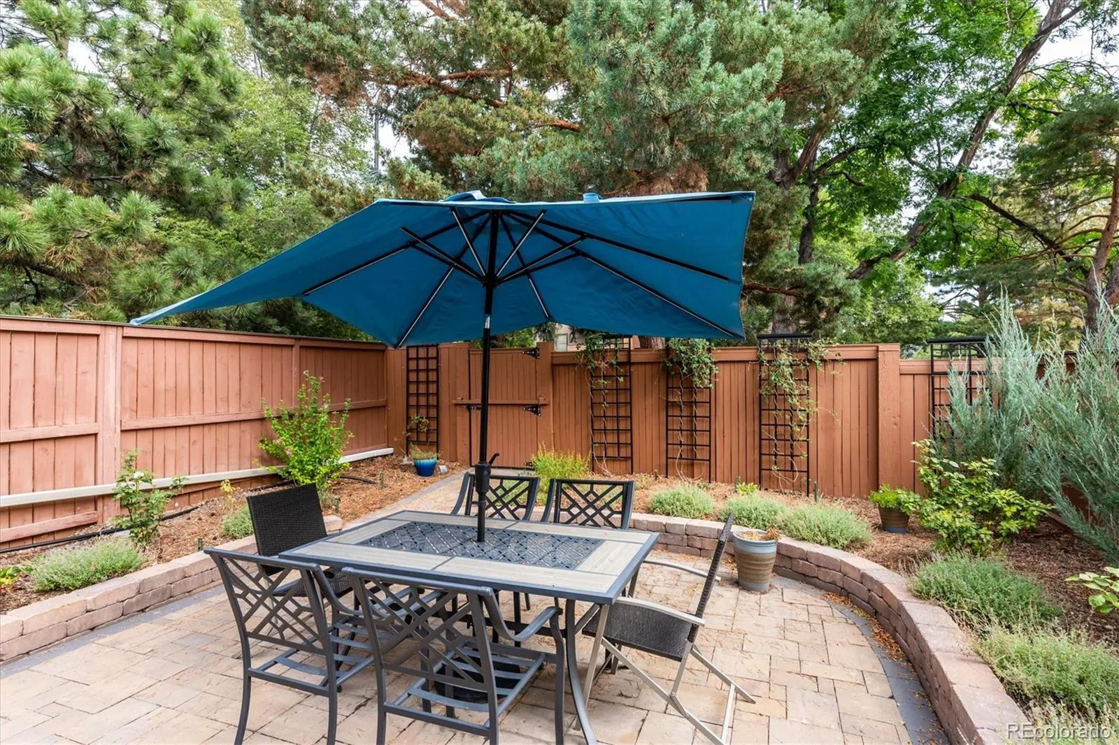 12545 W 2nd Drive Denver CO 80228 | MLS #REC6711419 08262026223021 1600 6