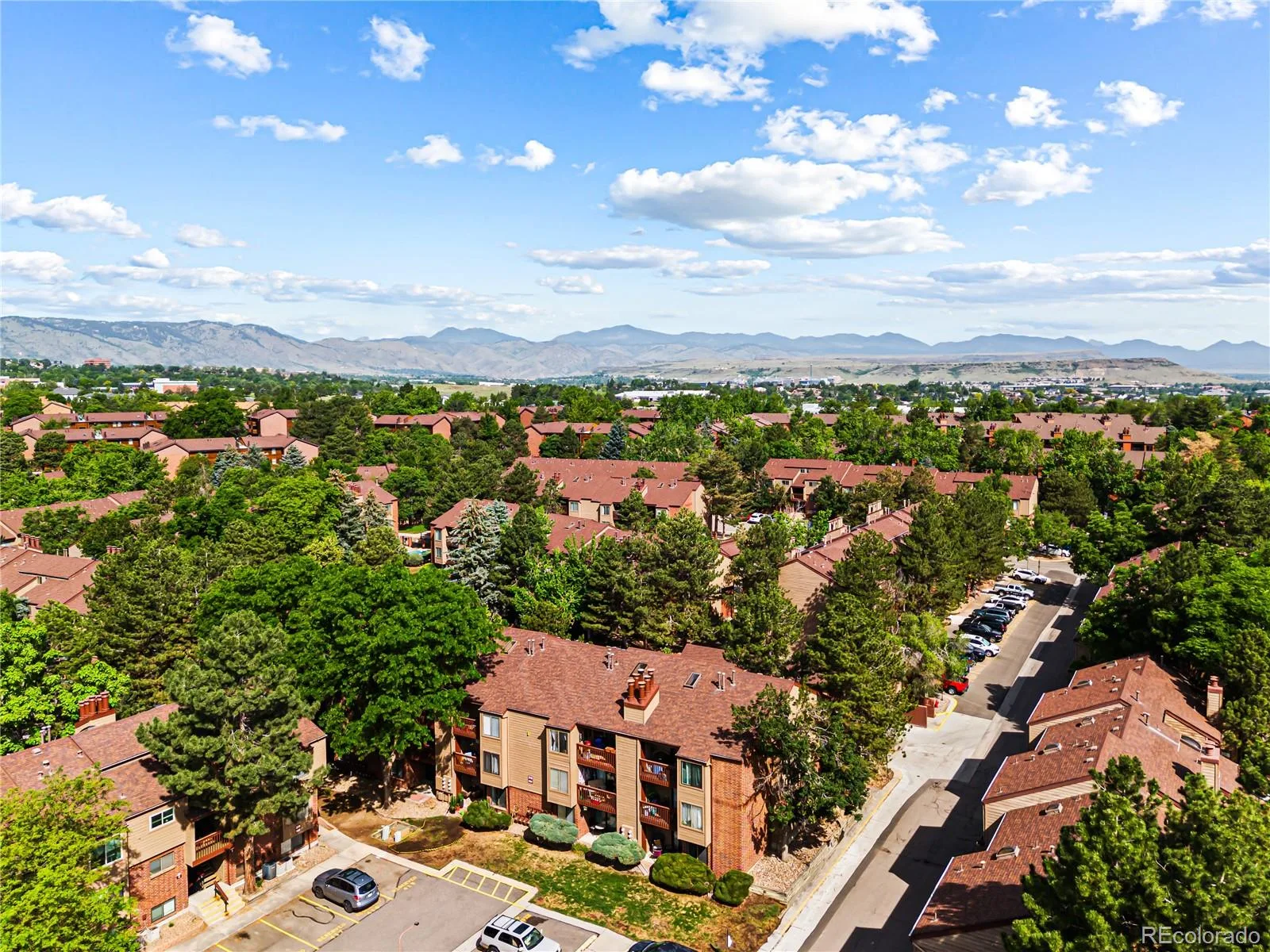 318 Wright Street #302 Lakewood CO 80228 MLS #REC6713309 06102026203653 1600 26