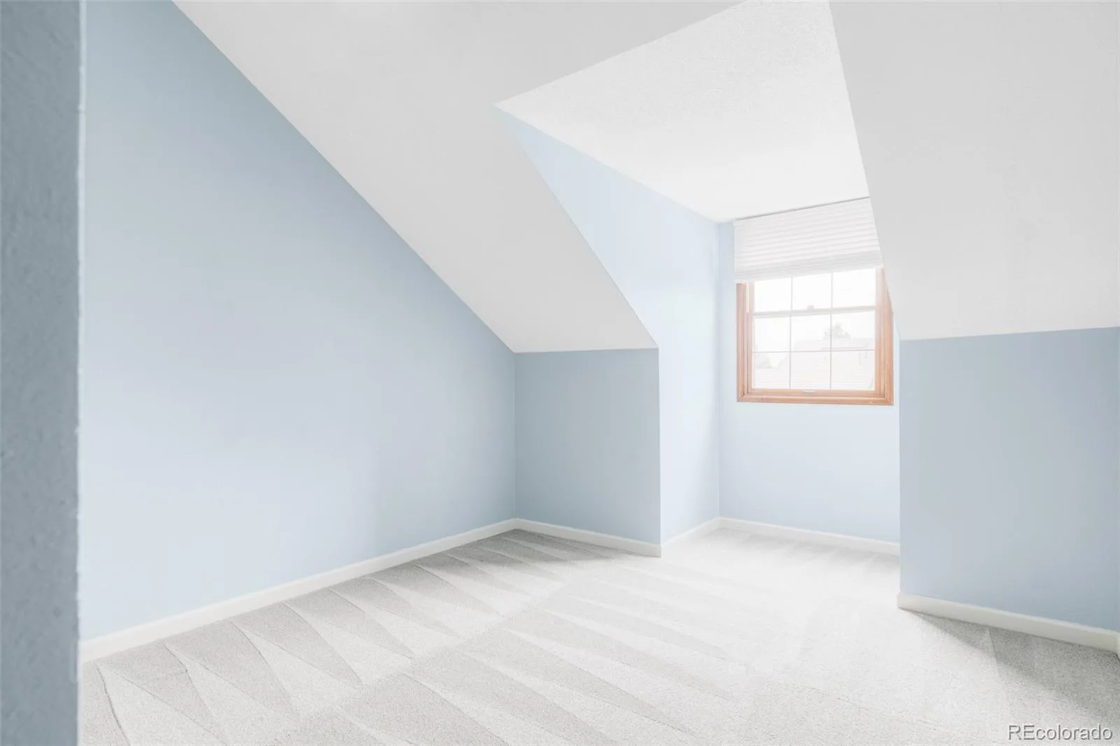 4812 S Carson Street Aurora CO 80015 MLS #REC6718049 06092026050359 1600 25