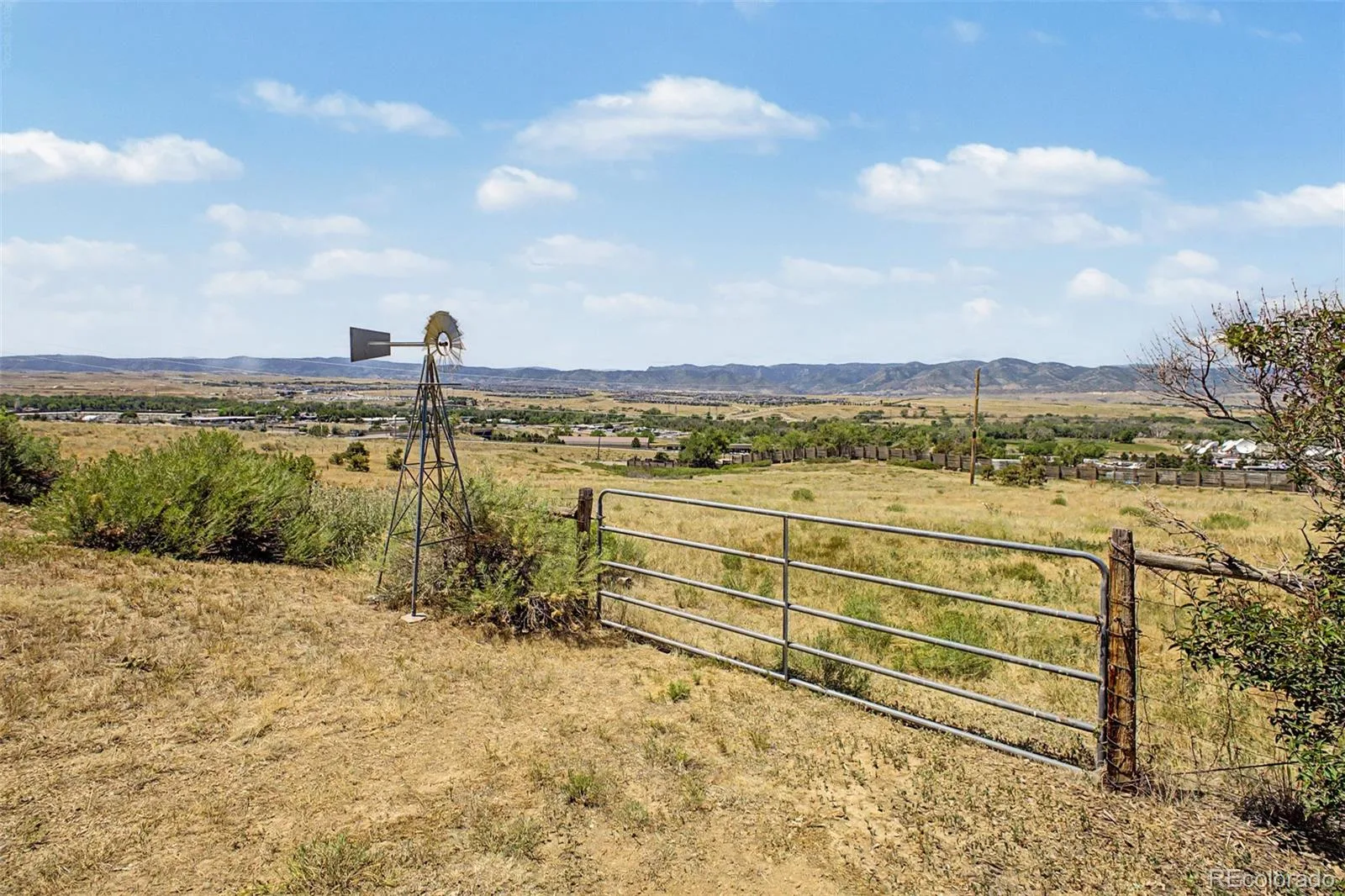 6894 W Chatfield Lane Littleton CO 80125 | MLS #REC6719567 08212026214528 1600 3