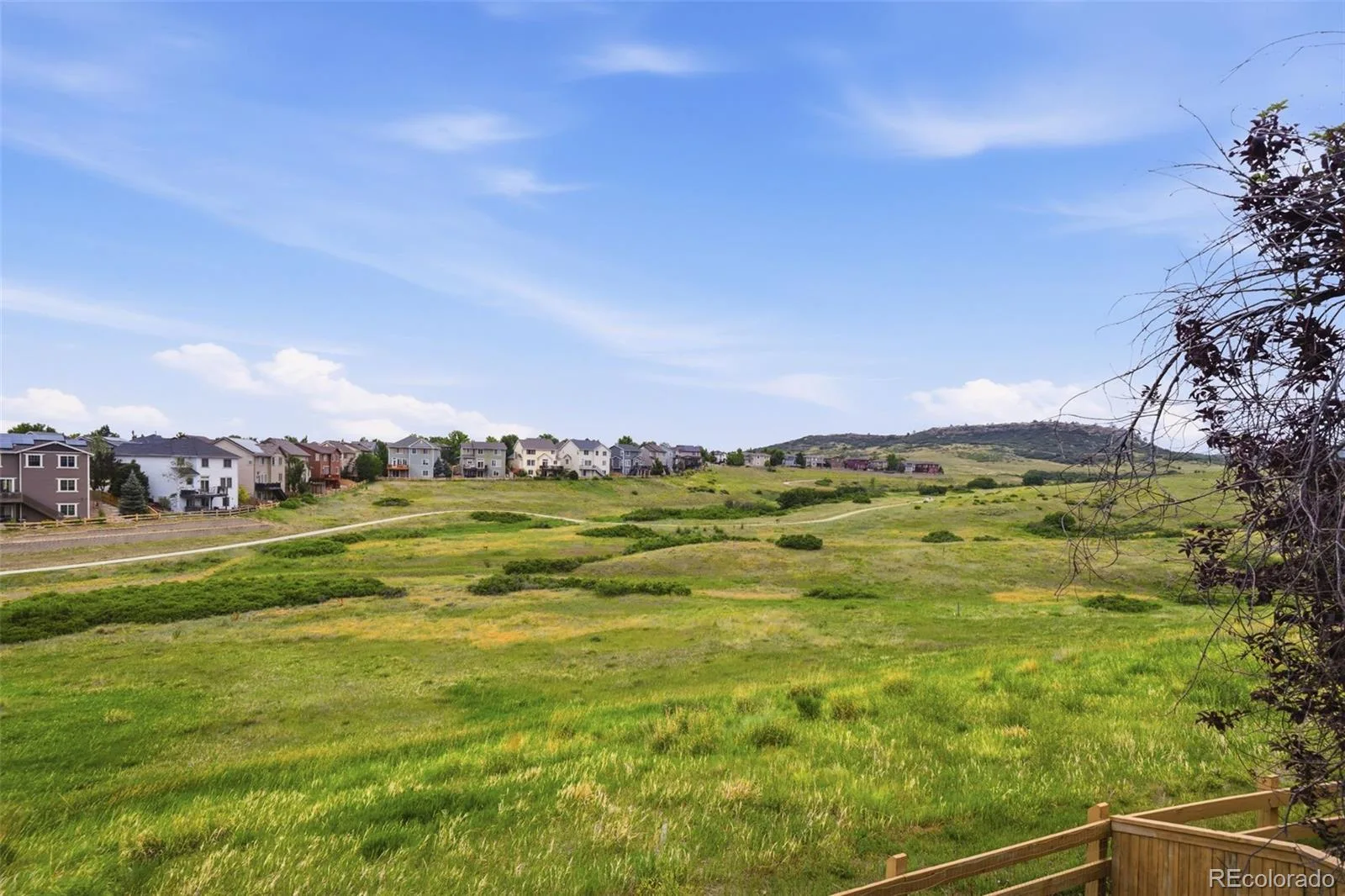 10977 Glengate Circle Highlands Ranch CO 80130 MLS #REC6736269 06272026052738 1600 23