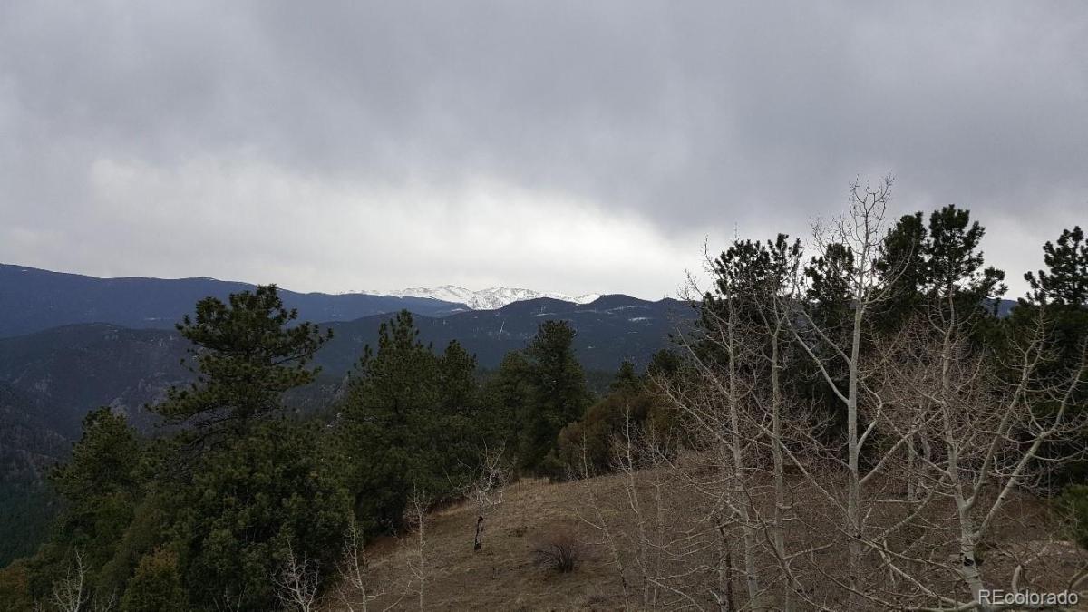 MLS #REC6738999 image #0