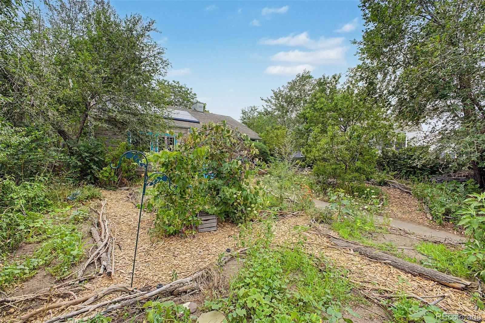 4330 Adams Street Denver CO 80216 | MLS #REC6741199 07312026145957 1600 4