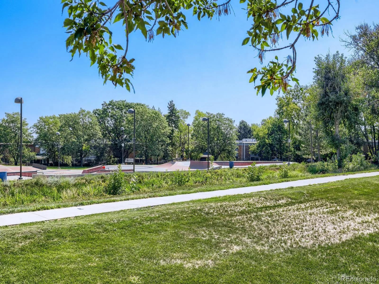 11656 Community Center Drive #102 Denver CO 80233 | MLS #REC6743819 08112026210116 1600 19