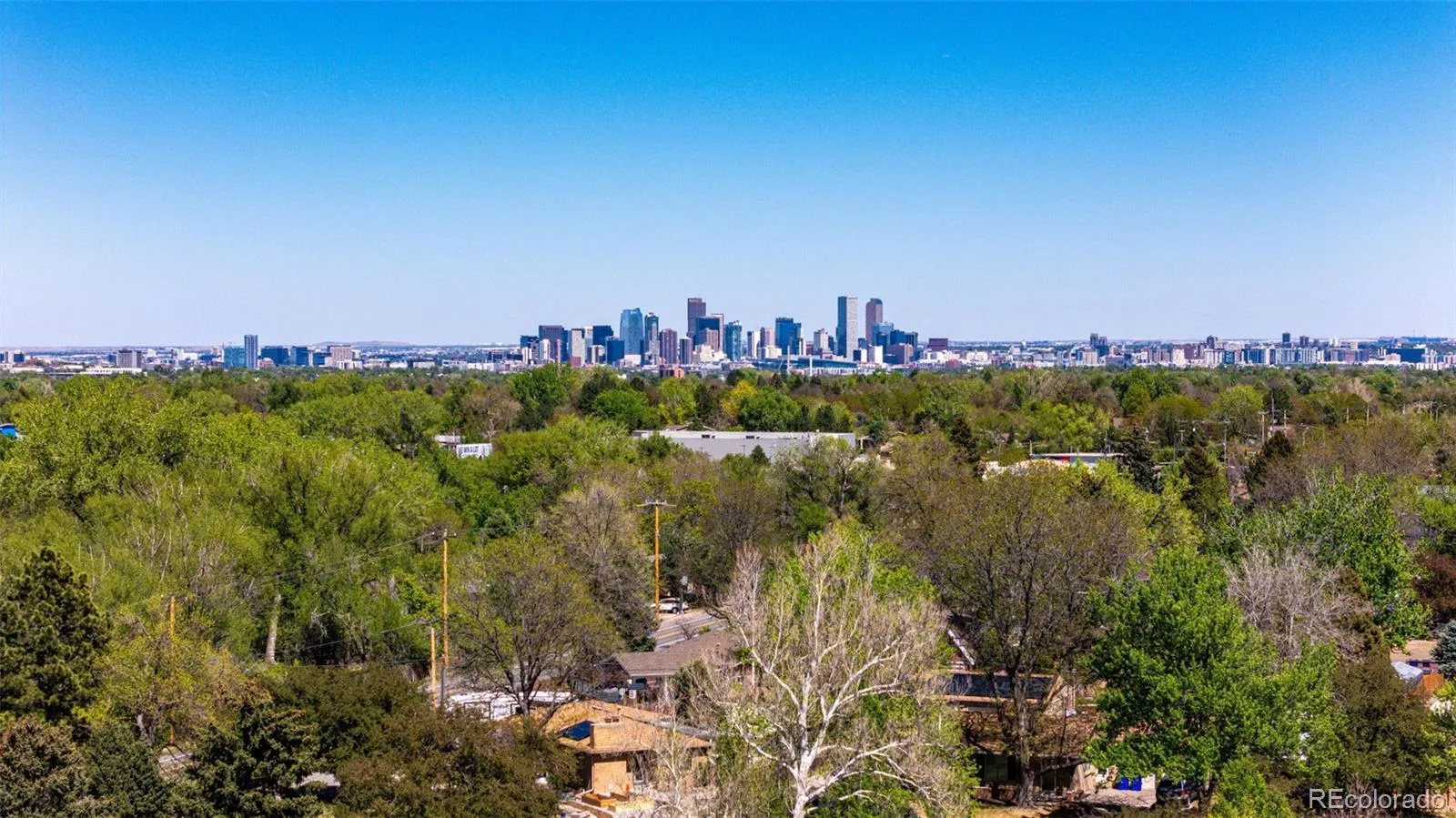 50 Ammons Street Lakewood CO 80226 MLS #REC6750621 05092026024636 1600 6
