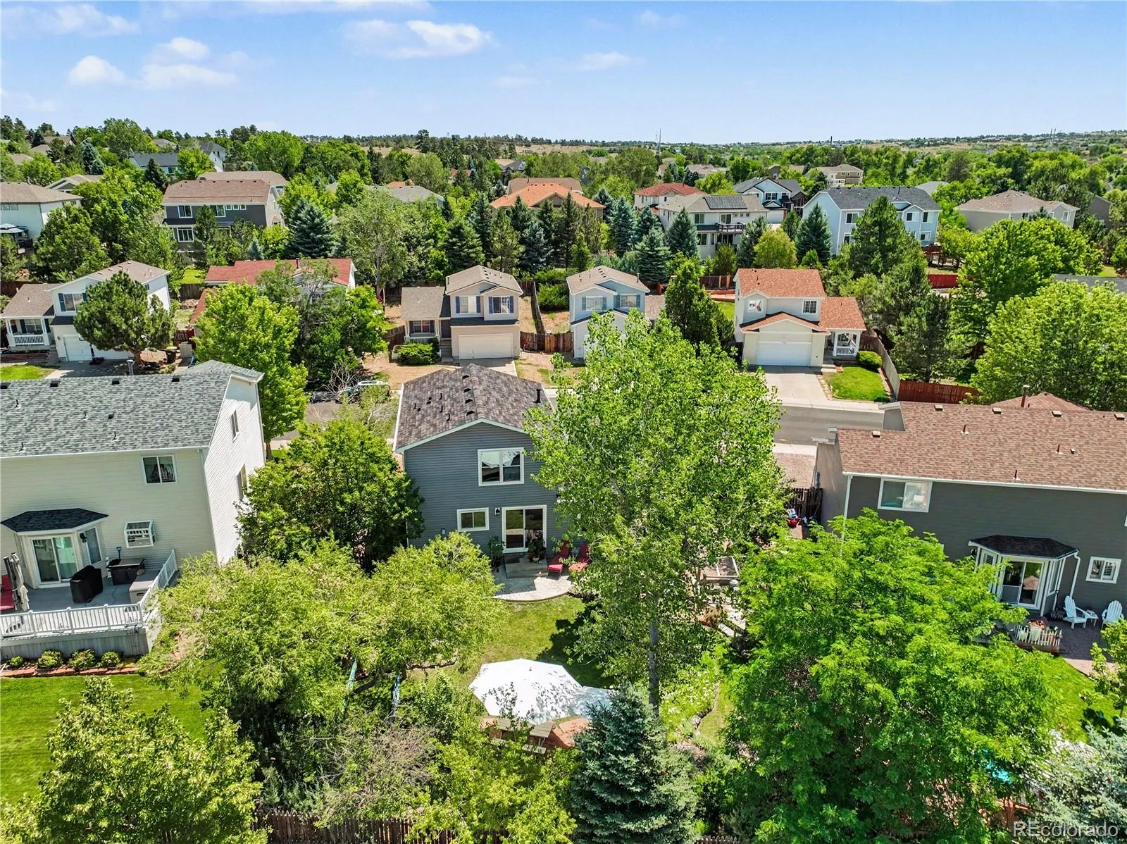 10865 Mount Bross Way Parker CO 80138 | MLS #REC6753378 08102026163534 1600 38