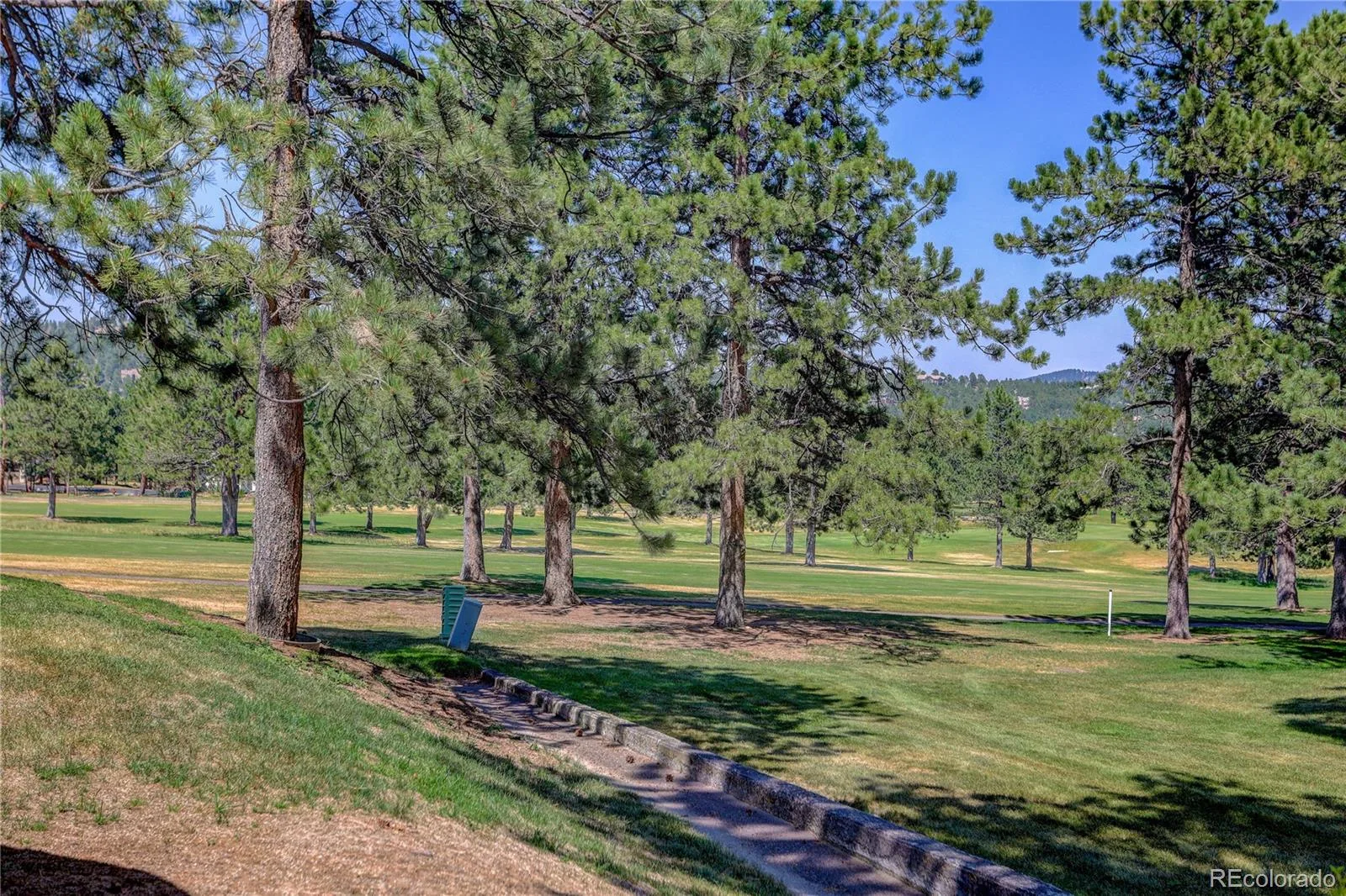 2338 Hearth Drive #21 Evergreen CO 80439 | MLS #REC6757117 07232026143546 1600 3
