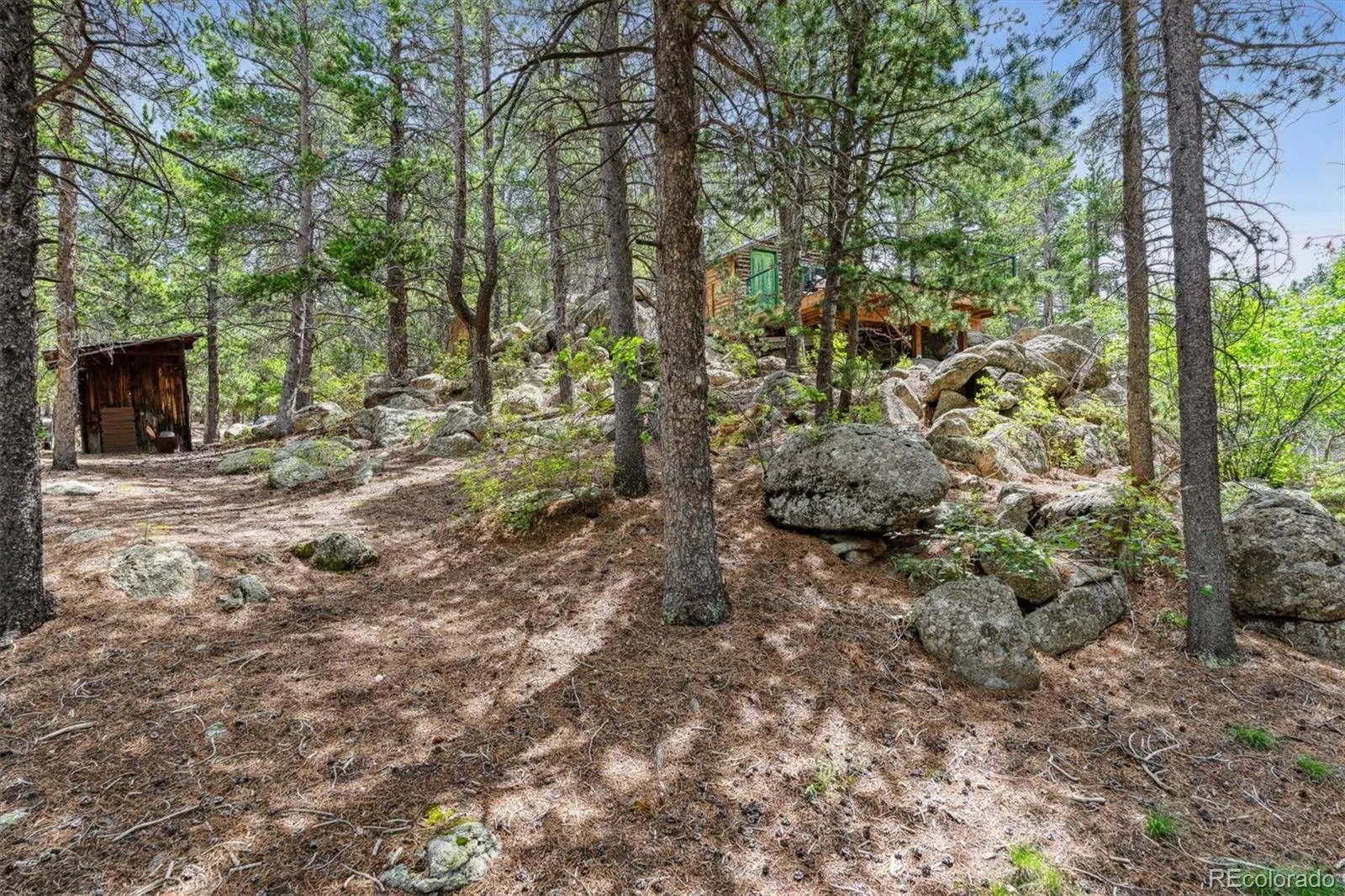 306 Olde Carter Lake Road Golden CO 80403 MLS #REC6290761 04132026235501 1600 18
