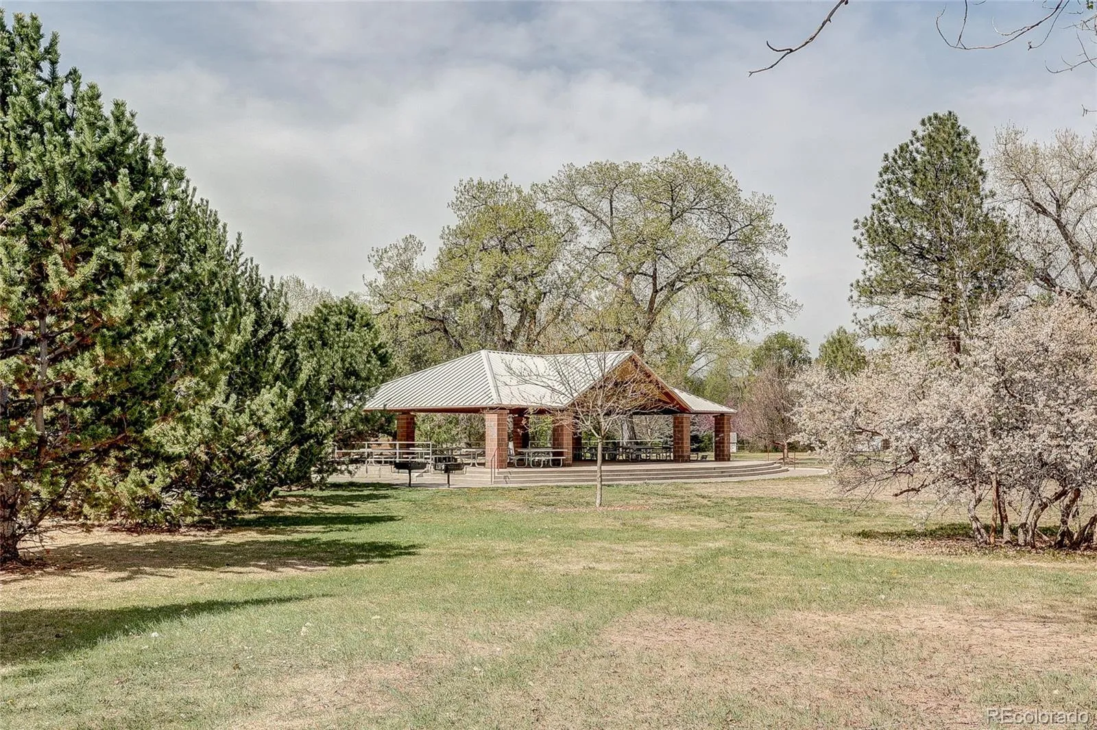 4570 Field Street Wheat Ridge CO 80033 MLS #REC6765117 04222026214232 1600 38