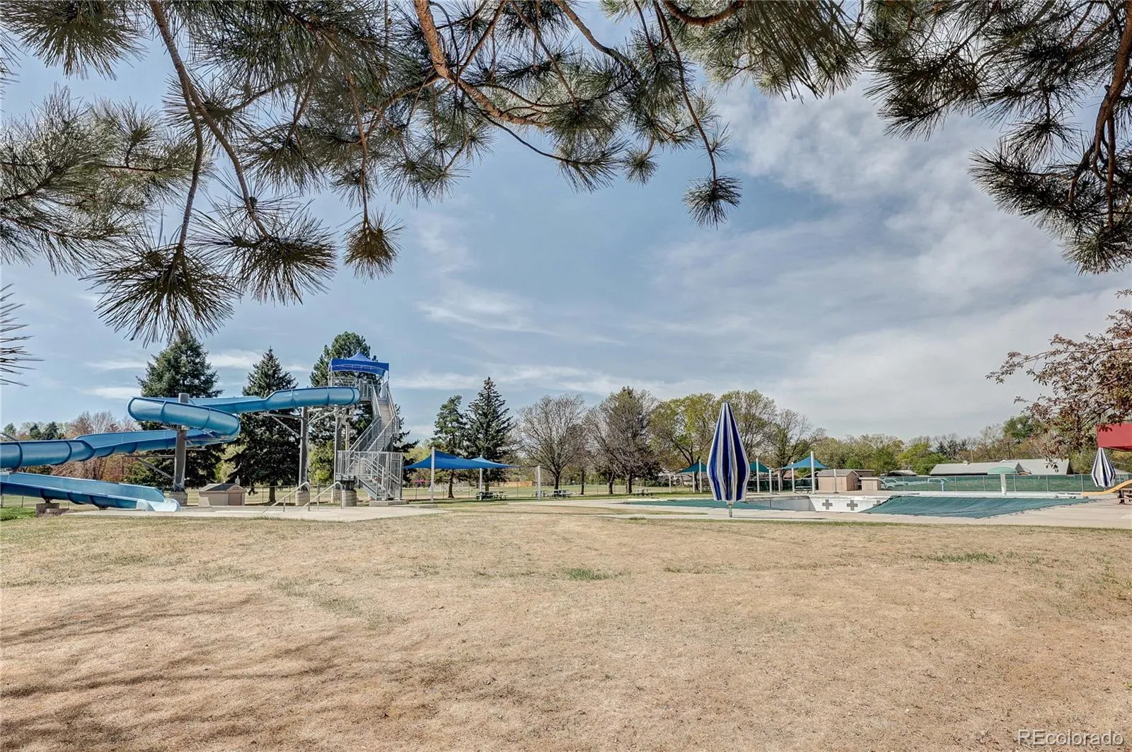 4570 Field Street Wheat Ridge CO 80033 MLS #REC6765117 04222026214232 1600 39