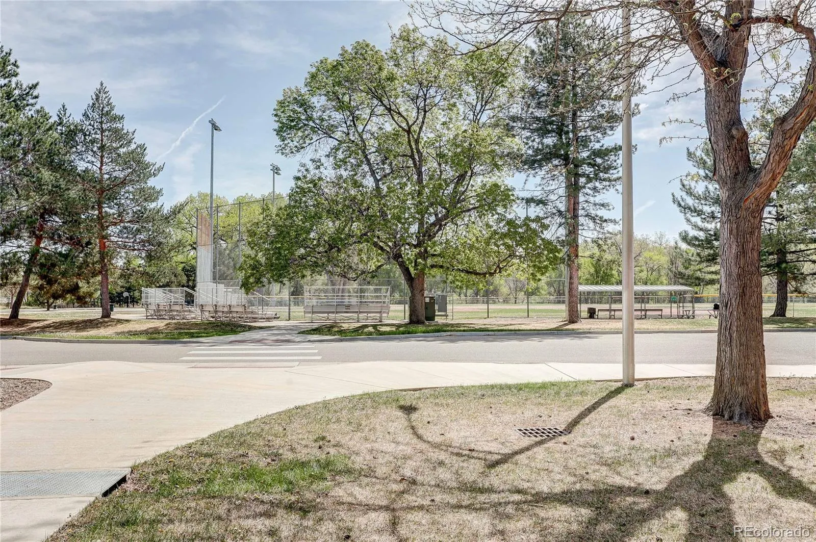 4570 Field Street Wheat Ridge CO 80033 MLS #REC6765117 04222026214232 1600 40