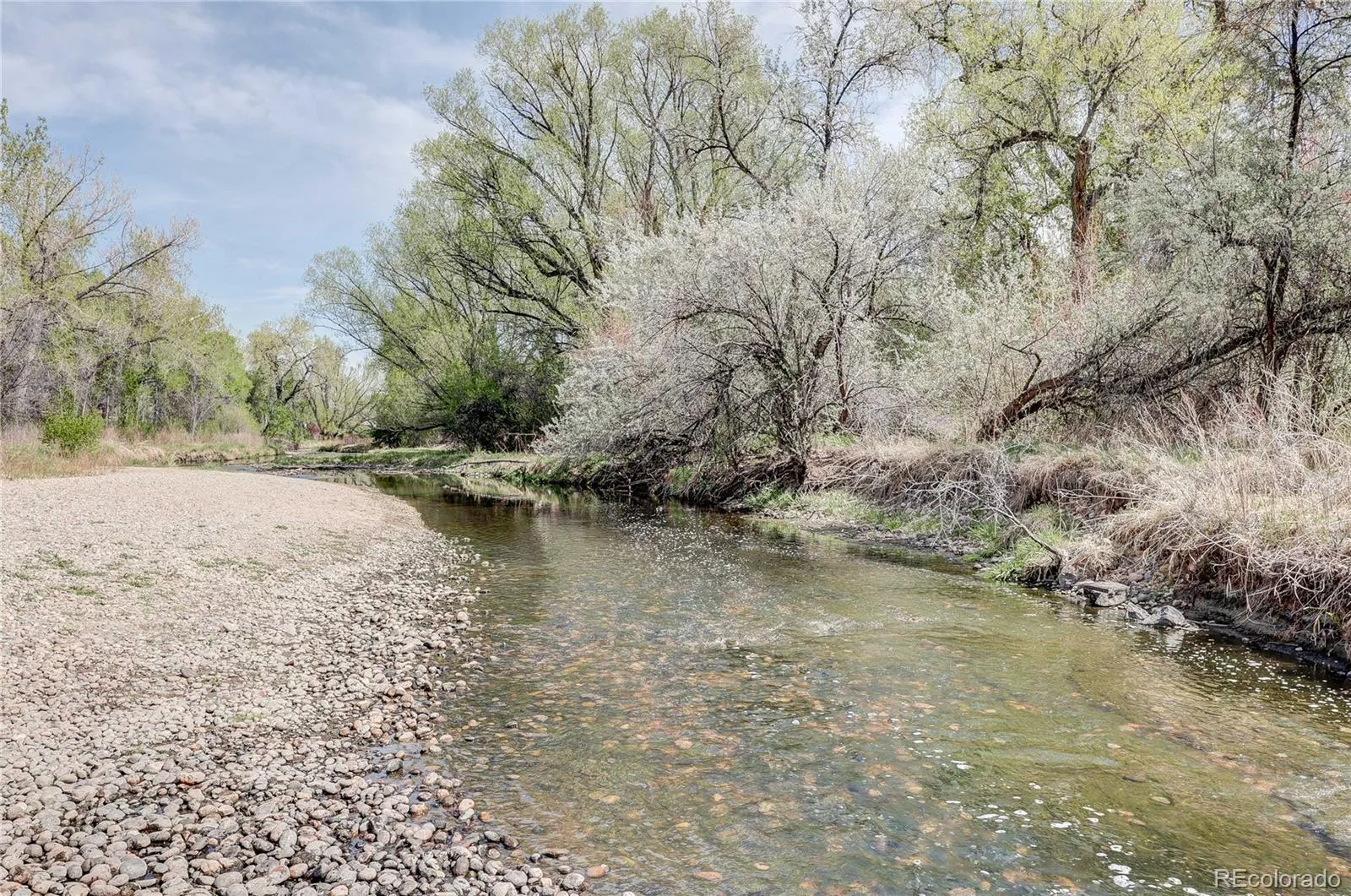 4570 Field Street Wheat Ridge CO 80033 MLS #REC6765117 04222026214232 1600 42