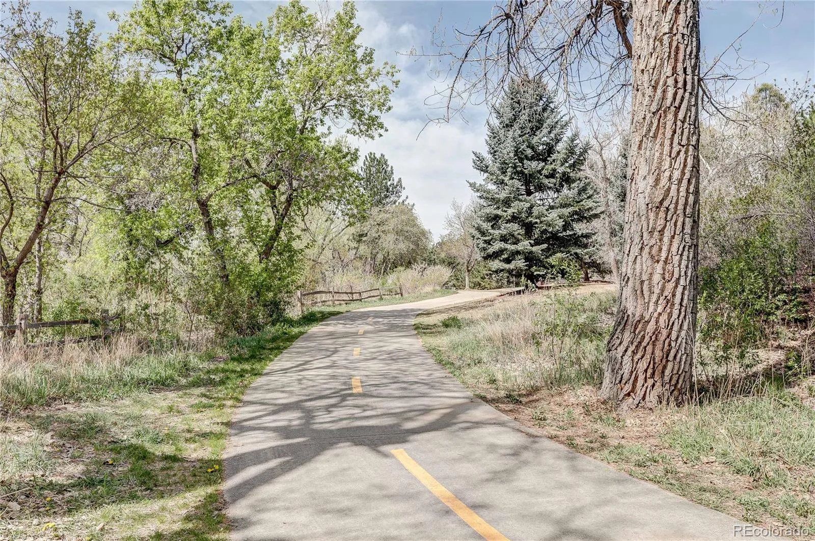 4570 Field Street Wheat Ridge CO 80033 MLS #REC6765117 04222026214232 1600 43