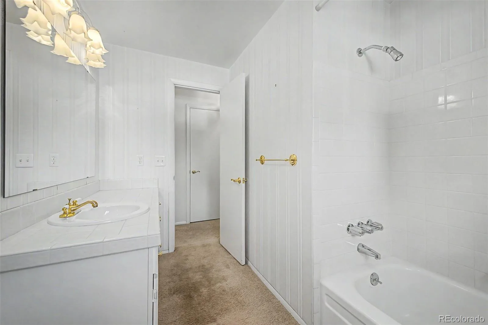 3762 S Benton Way Denver CO 80235 MLS #REC6766026 06112026205726 1600 18