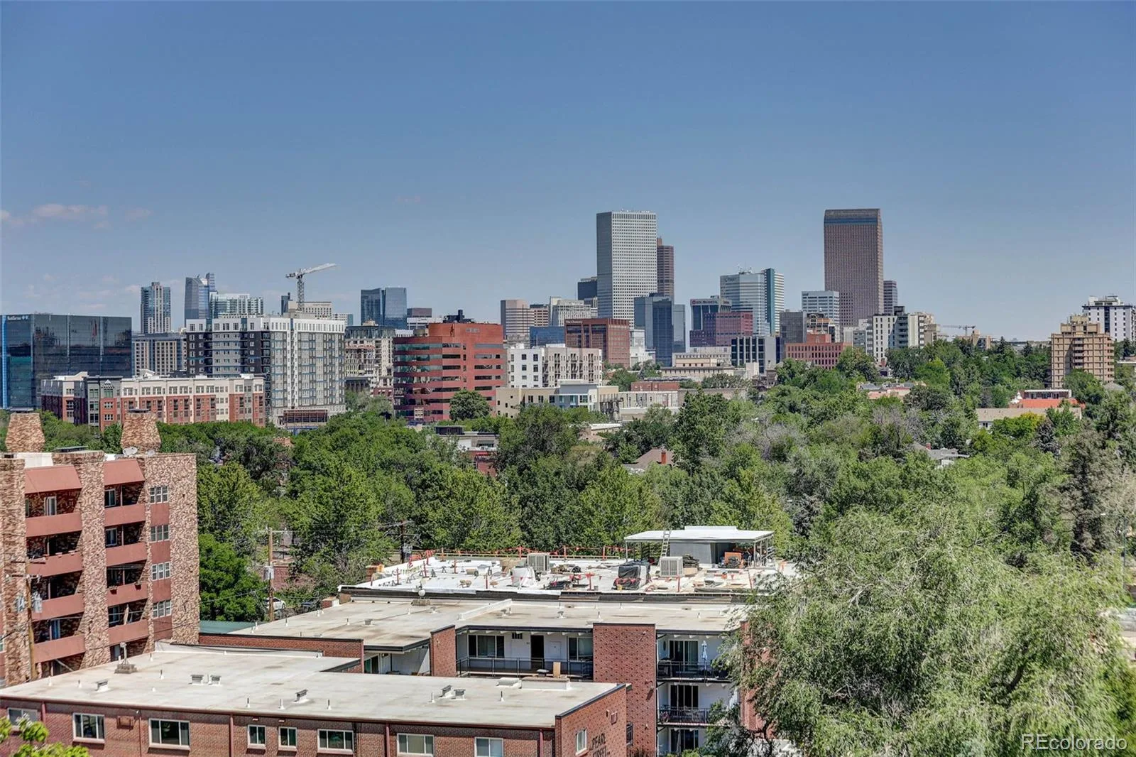 130 N Pearl Street #808 Denver CO 80203 MLS #REC6768684 07242026201505 1600 22