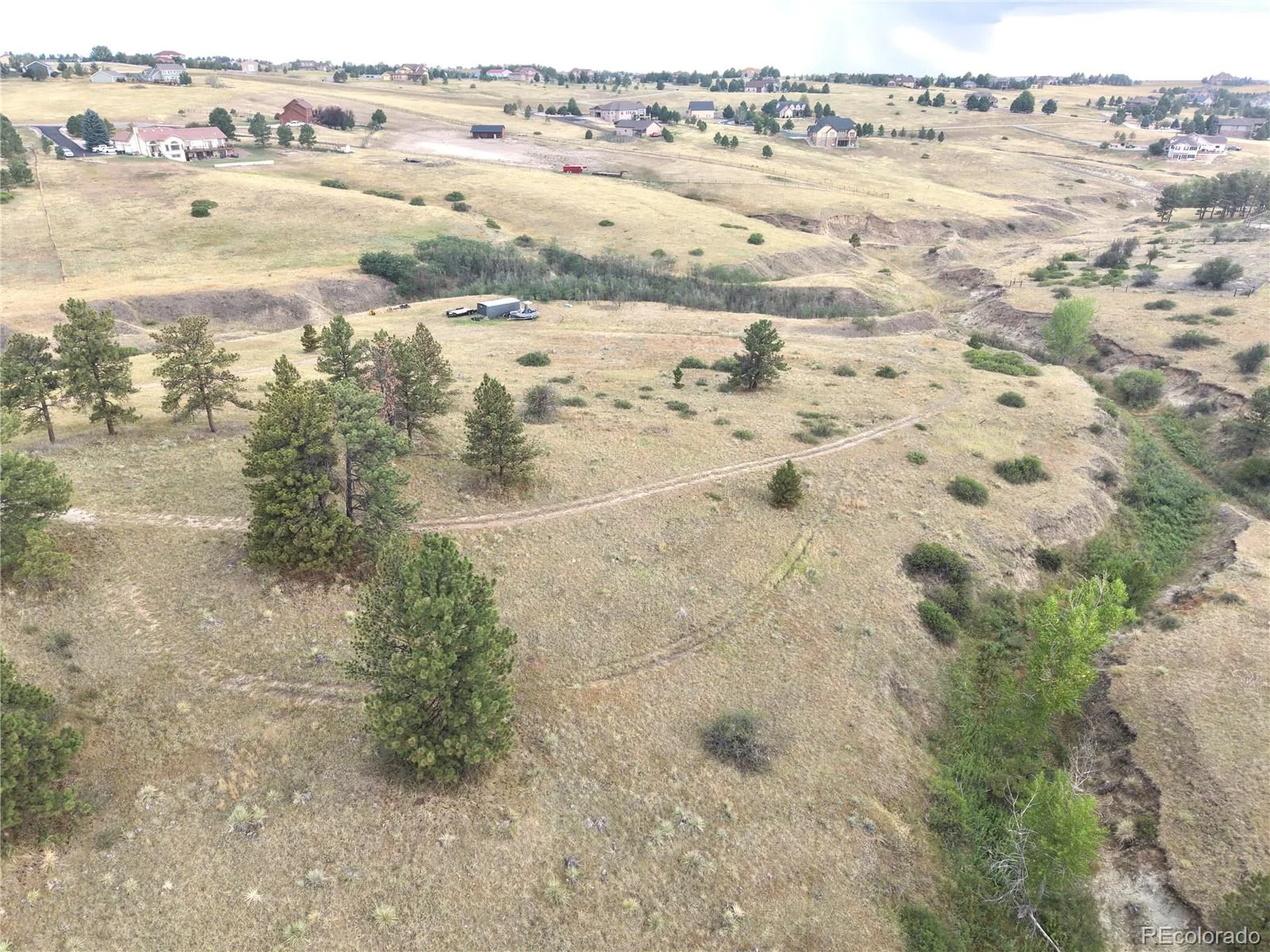 46341 Needleleaf Lane Parker CO 80138 | MLS #REC6769691 08102026005456 1600 1
