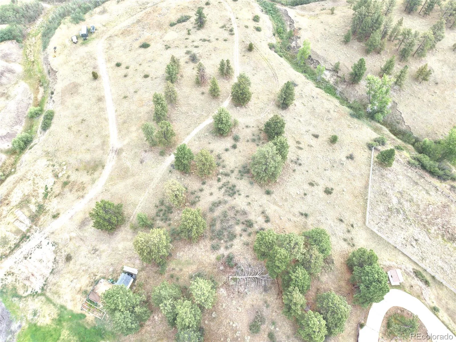 46341 Needleleaf Lane Parker CO 80138 | MLS #REC6769691 08102026005456 1600 13