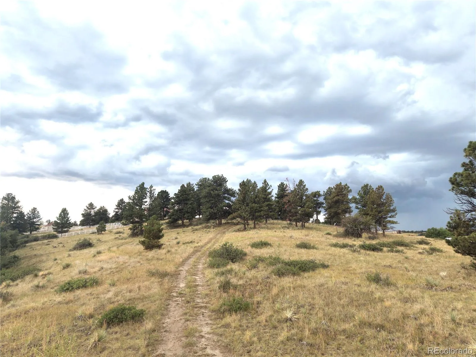 46341 Needleleaf Lane Parker CO 80138 | MLS #REC6769691 08102026005456 1600 2