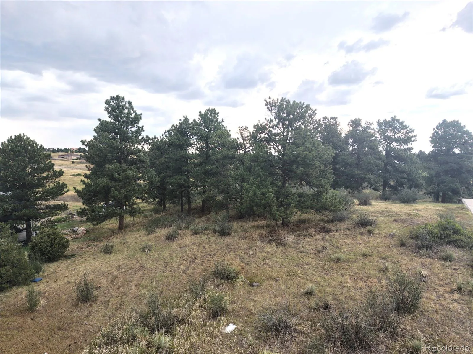 46341 Needleleaf Lane Parker CO 80138 | MLS #REC6769691 08102026005456 1600 4