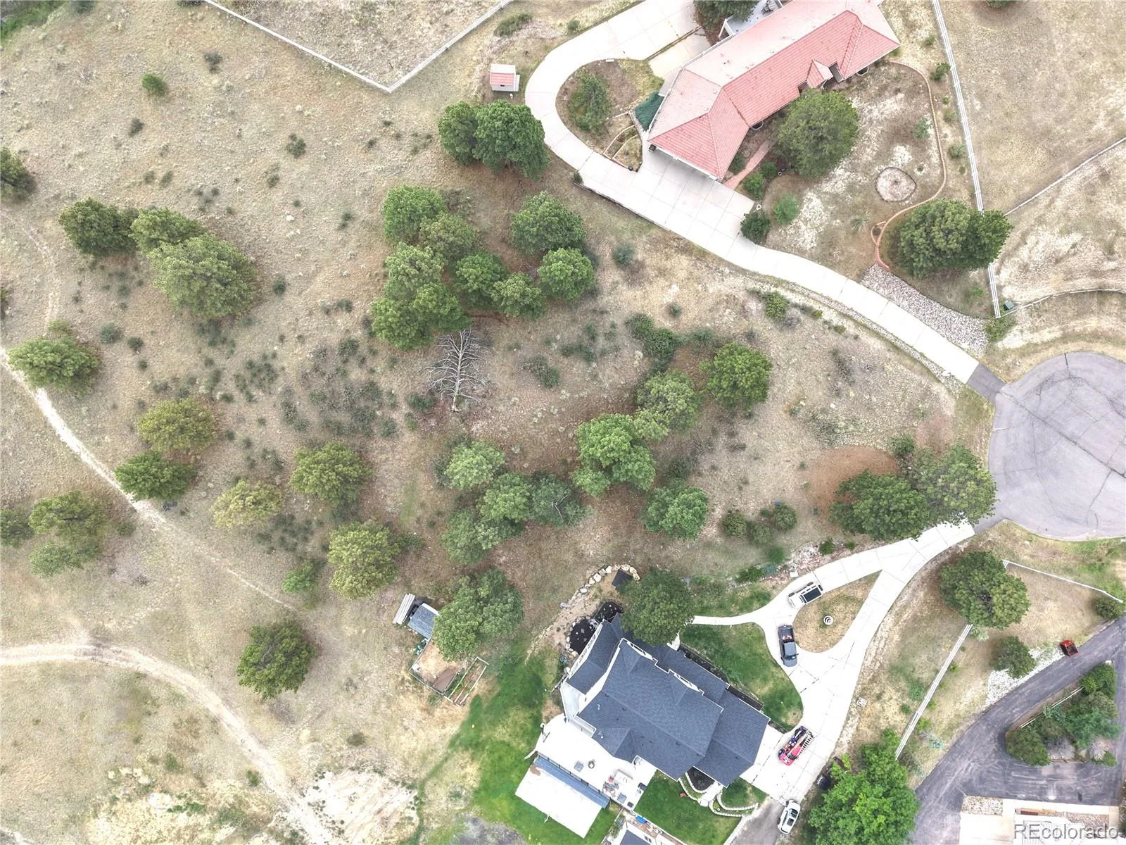 46341 Needleleaf Lane Parker CO 80138 | MLS #REC6769691 08102026005456 1600 5