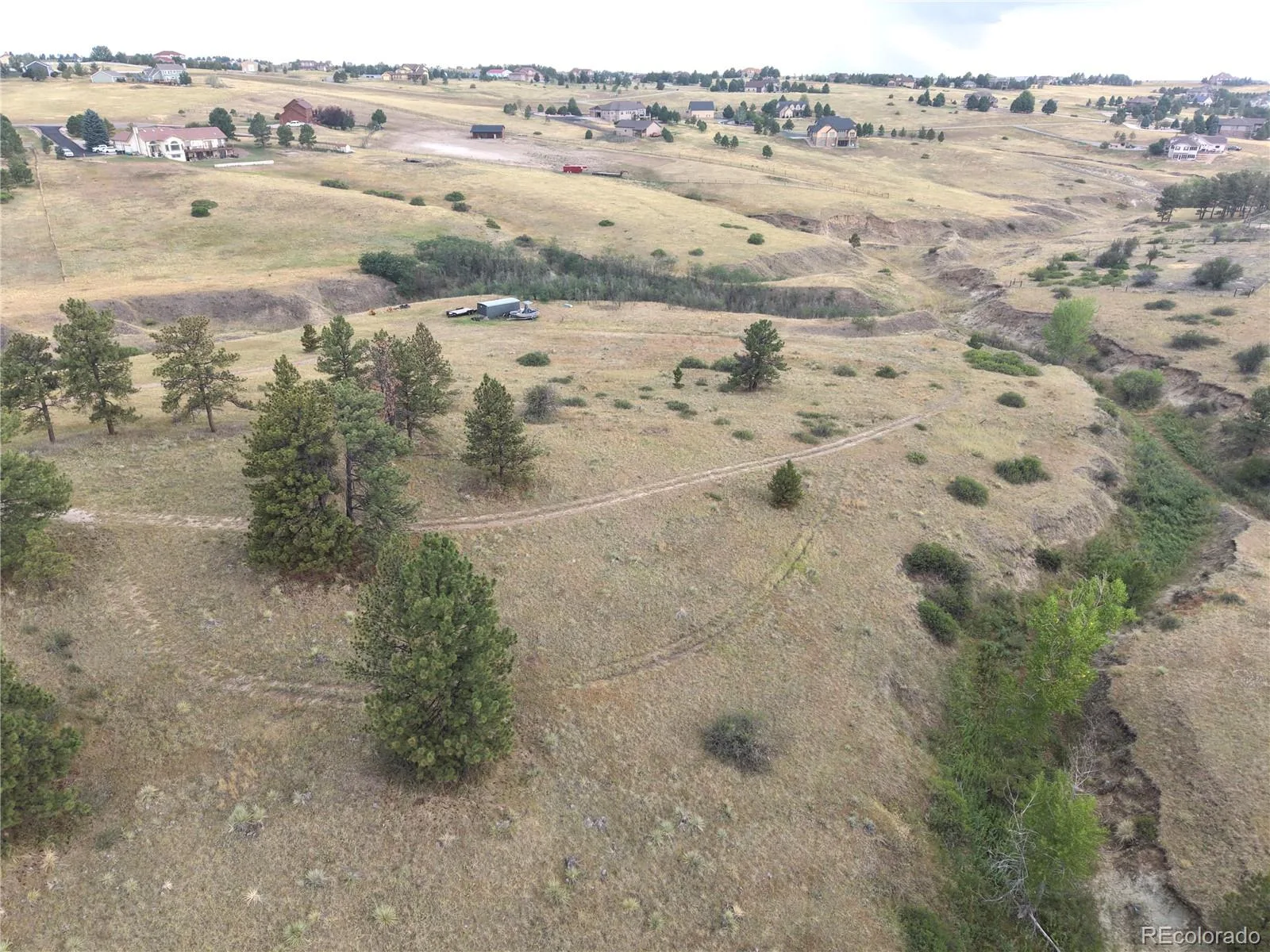 46341 Needleleaf Lane Parker CO 80138 | MLS #REC6769691 08102026005456 1600 6