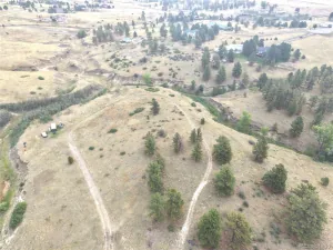 46341 Needleleaf Lane Parker CO 80138 | MLS #REC6769691 08102026005456 300 0