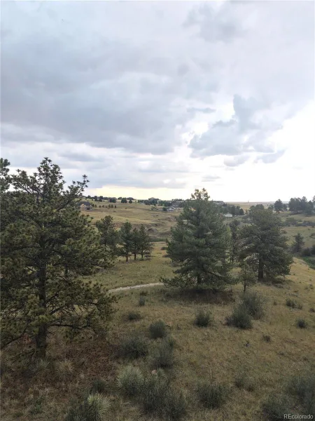 46341 Needleleaf Lane Parker CO 80138 | MLS #REC6769691 08102026005456 800 12
