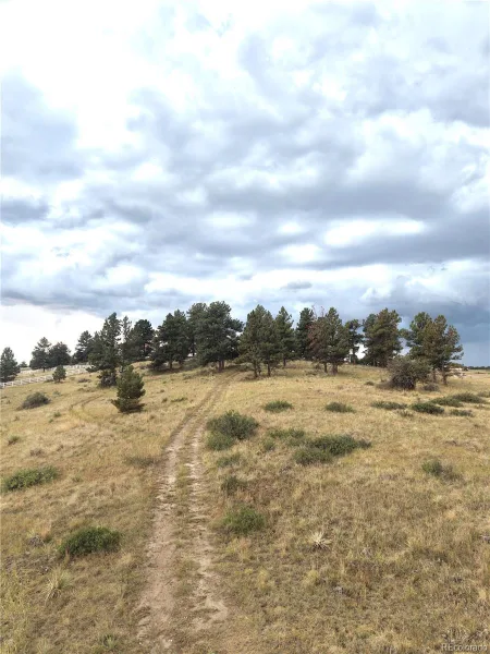 46341 Needleleaf Lane Parker CO 80138 | MLS #REC6769691 08102026005456 800 9