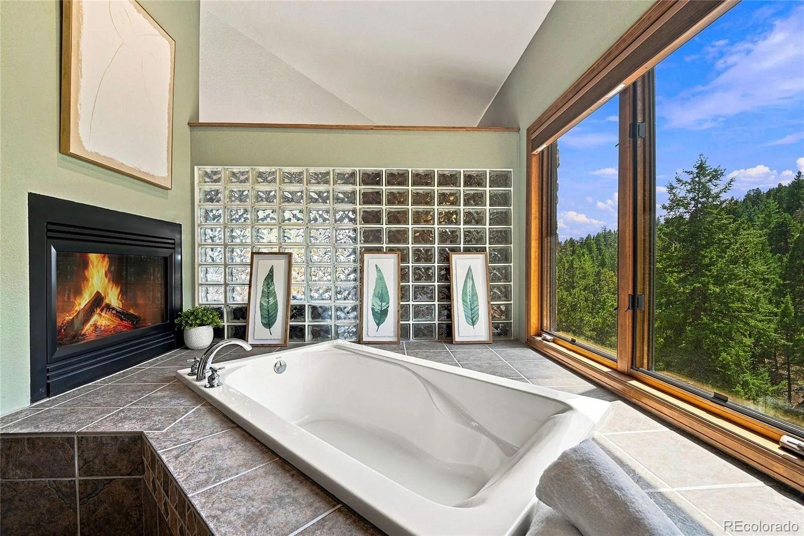 30937 Isenberg Lane Evergreen CO 80439 | MLS #REC6772359 08252026164031 1600 36