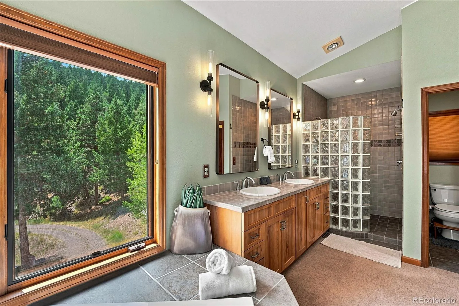 30937 Isenberg Lane Evergreen CO 80439 | MLS #REC6772359 08252026164031 1600 37