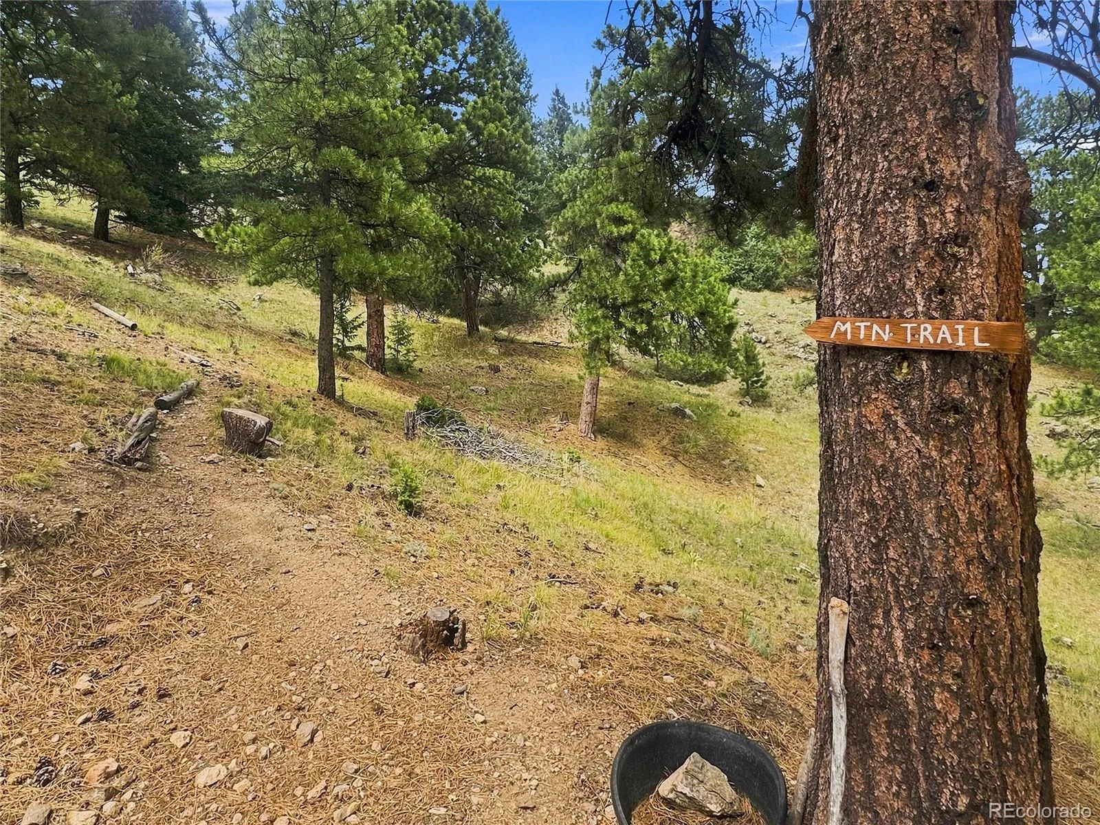 30937 Isenberg Lane Evergreen CO 80439 | MLS #REC6772359 08252026164031 1600 46