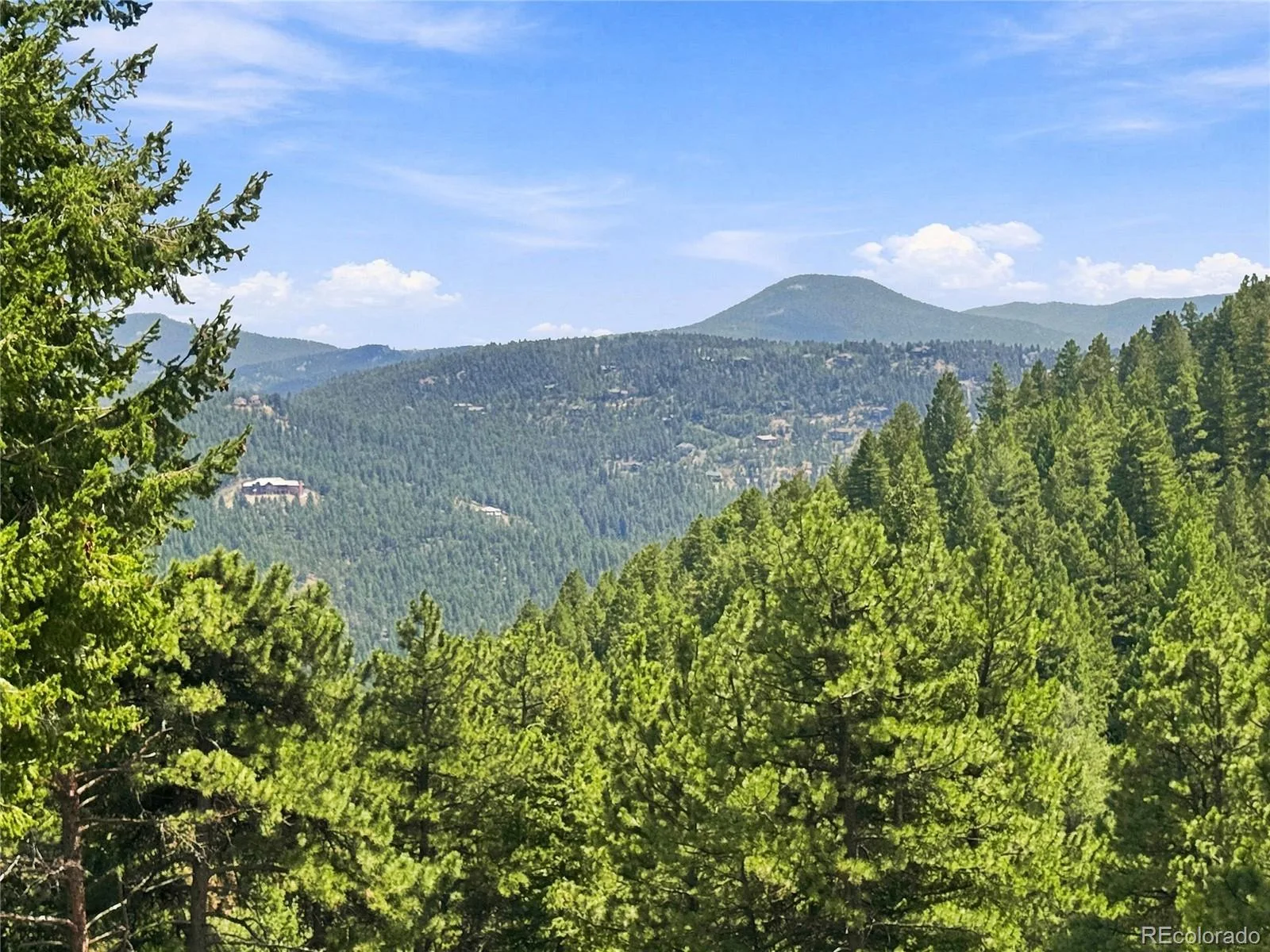30937 Isenberg Lane Evergreen CO 80439 | MLS #REC6772359 08252026164031 1600 48