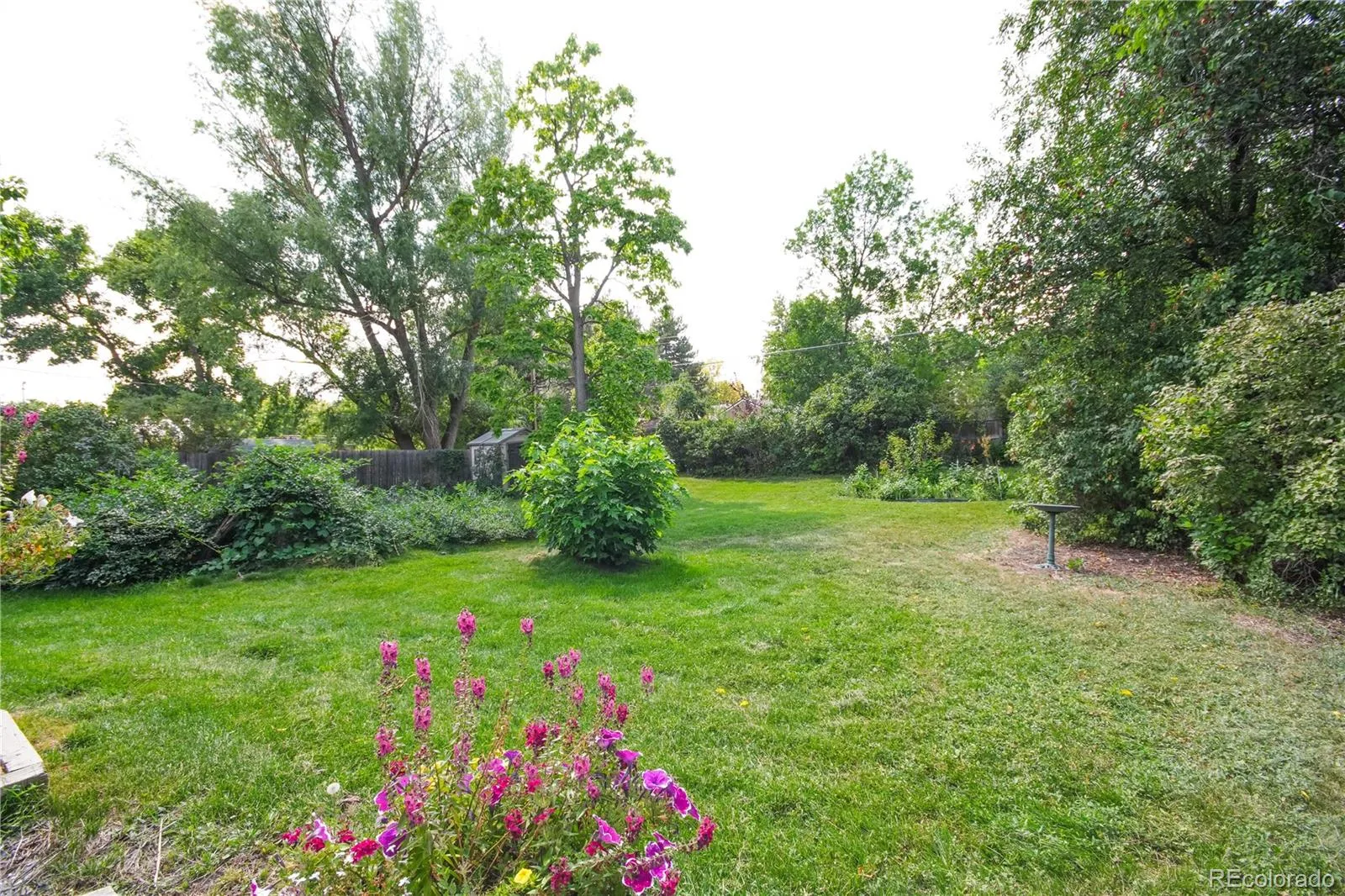 1779 S Monaco Parkway Denver CO 80224 | MLS #REC6772946 08142026194453 1600 42