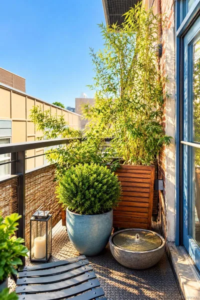 2500 Walnut Street #209 Denver CO 80205 | MLS #REC6772964 10152026234431 800 10