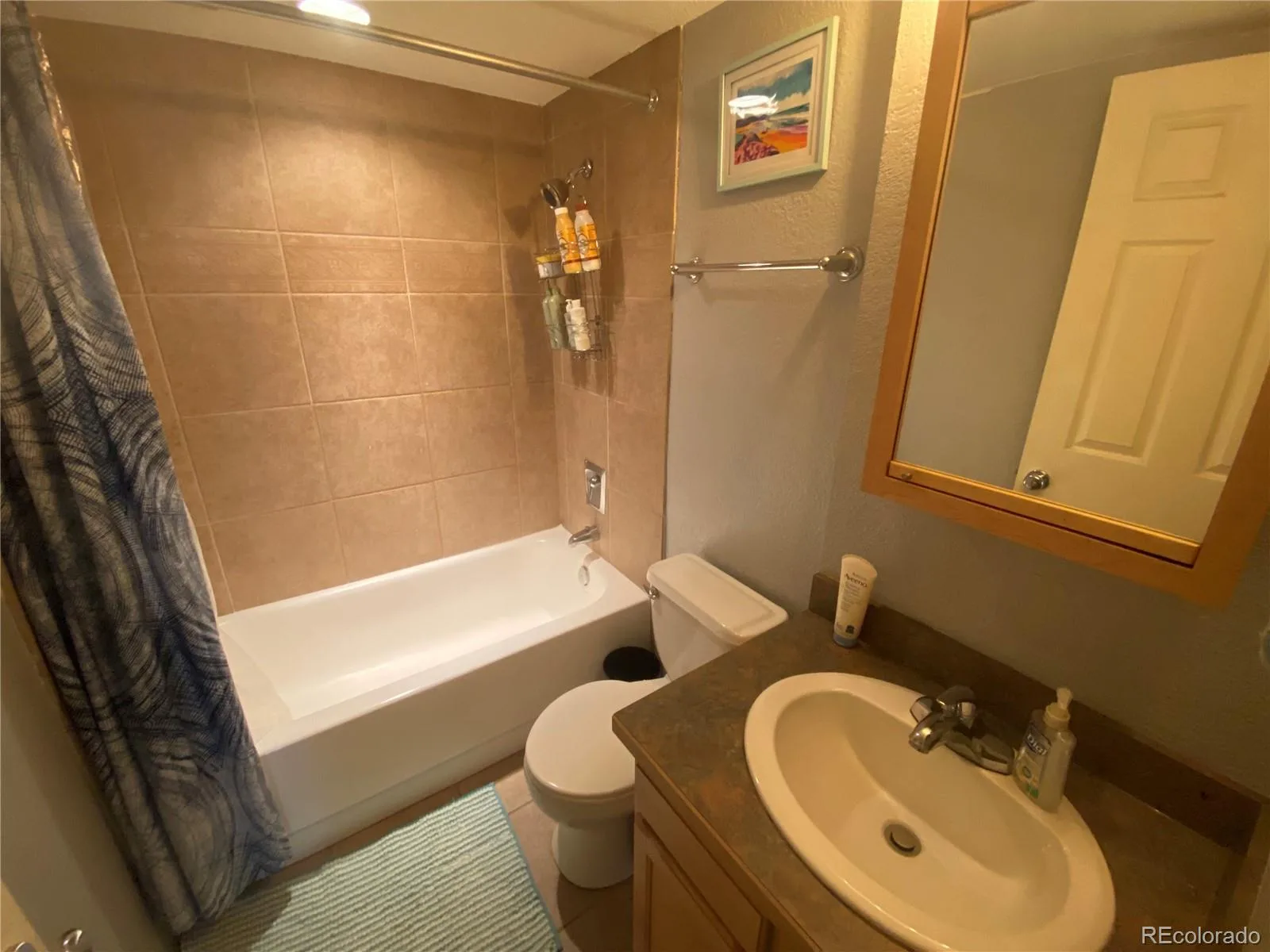909 N Logan Street #7E Denver CO 80203 | MLS #REC6773921 10162026231352 1600 15