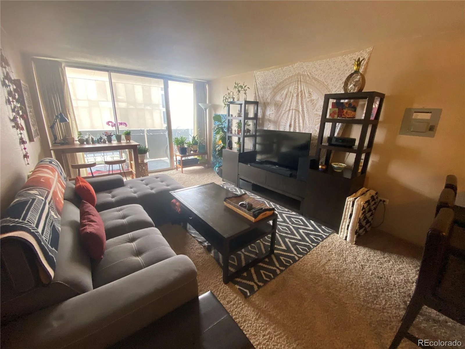 909 N Logan Street #7E Denver CO 80203 | MLS #REC6773921 10162026231352 1600 7