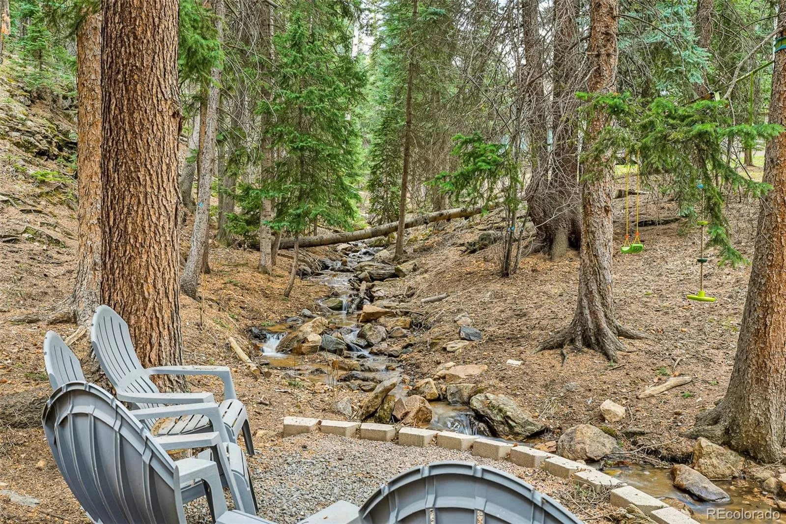 34788 Forest Estates Road Evergreen CO 80439 | MLS #REC6774649 07252026191004 1600 24