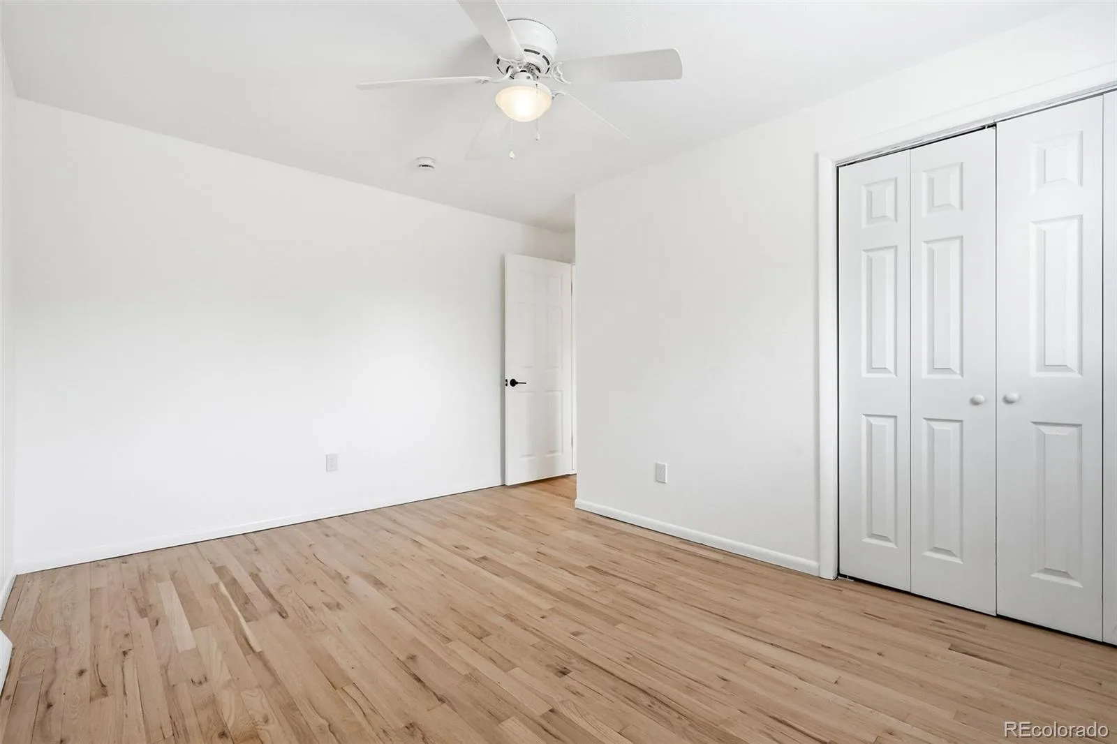 7045 W 33rd Avenue Wheat Ridge CO 80033 MLS #REC6774650 06102026165848 1600 24