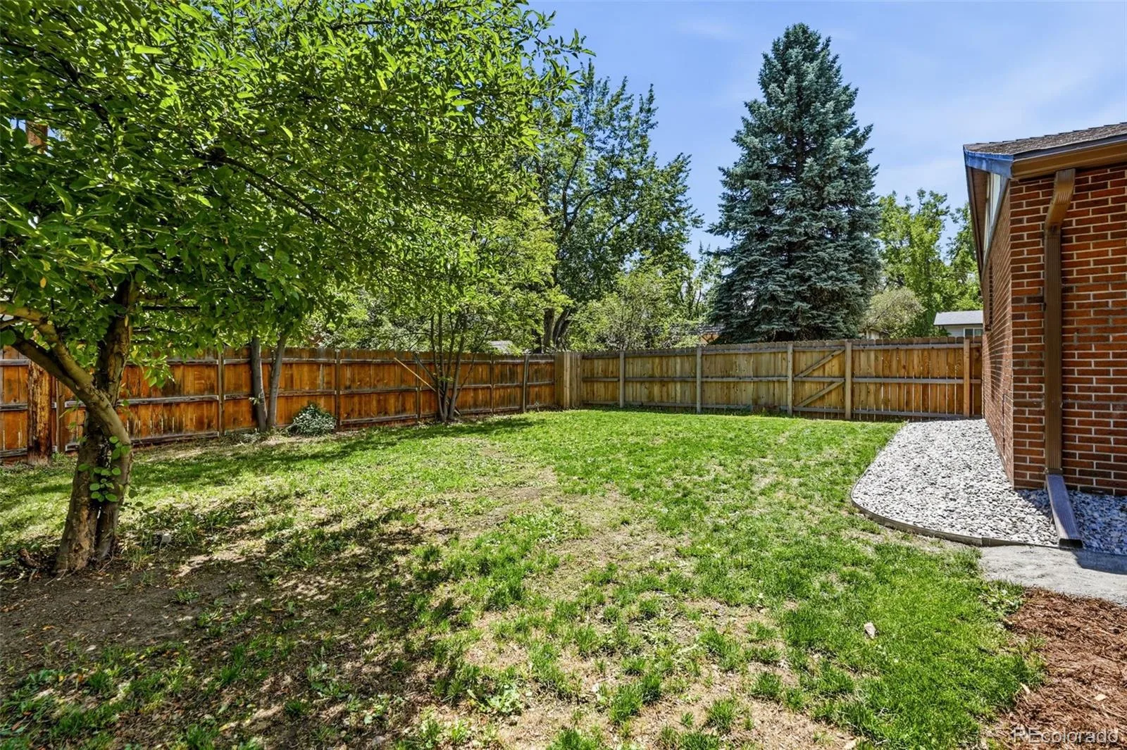 7045 W 33rd Avenue Wheat Ridge CO 80033 MLS #REC6774650 06102026165848 1600 30
