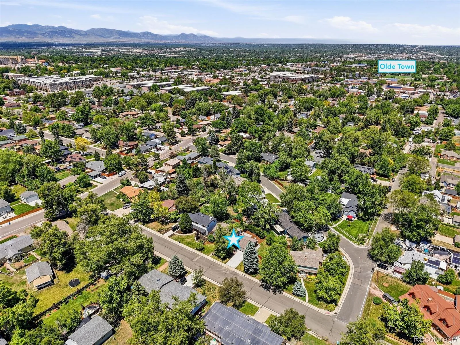 7045 W 33rd Avenue Wheat Ridge CO 80033 MLS #REC6774650 06102026165848 1600 37