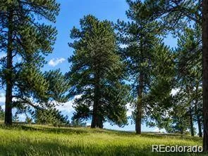 2 Forest Rim Aurora CO 80016 | MLS #REC6778602 08182026195455 295 9
