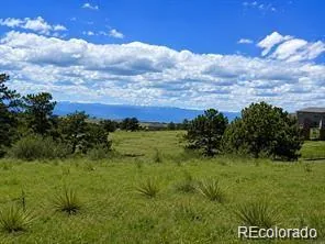 2 Forest Rim Aurora CO 80016 | MLS #REC6778602 08182026195455 296 1