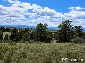 2 Forest Rim Aurora CO 80016 | MLS #REC6778602 08182026195455 296 8