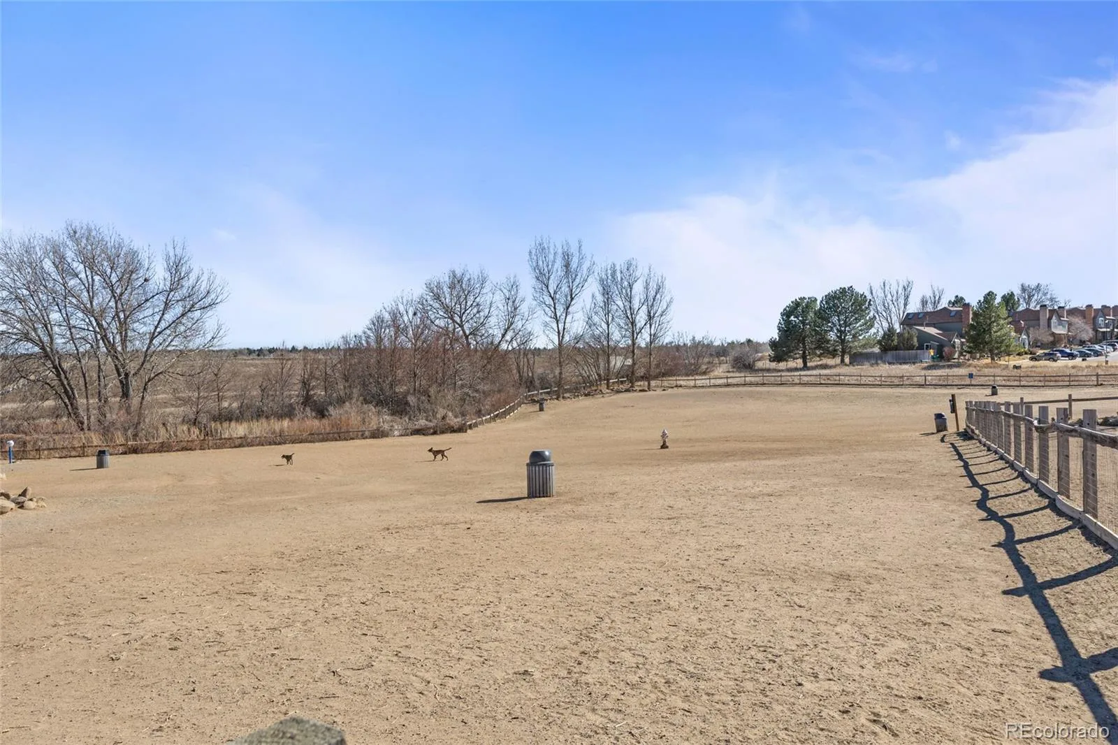 06252026214326 1600 25