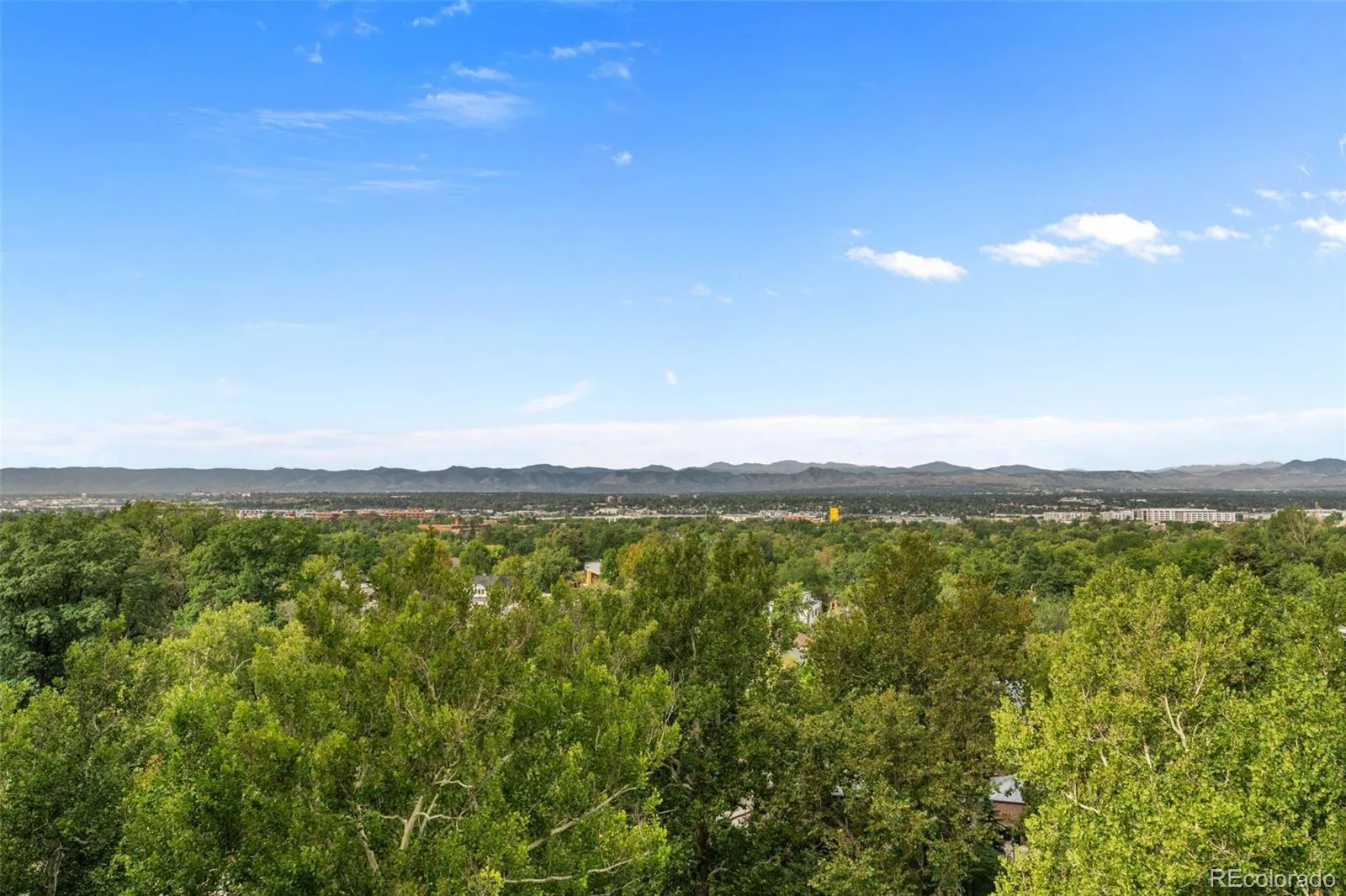 460 S Marion Parkway #1055 Denver CO 80209 | MLS #REC6790932 10052026185647 1600 26