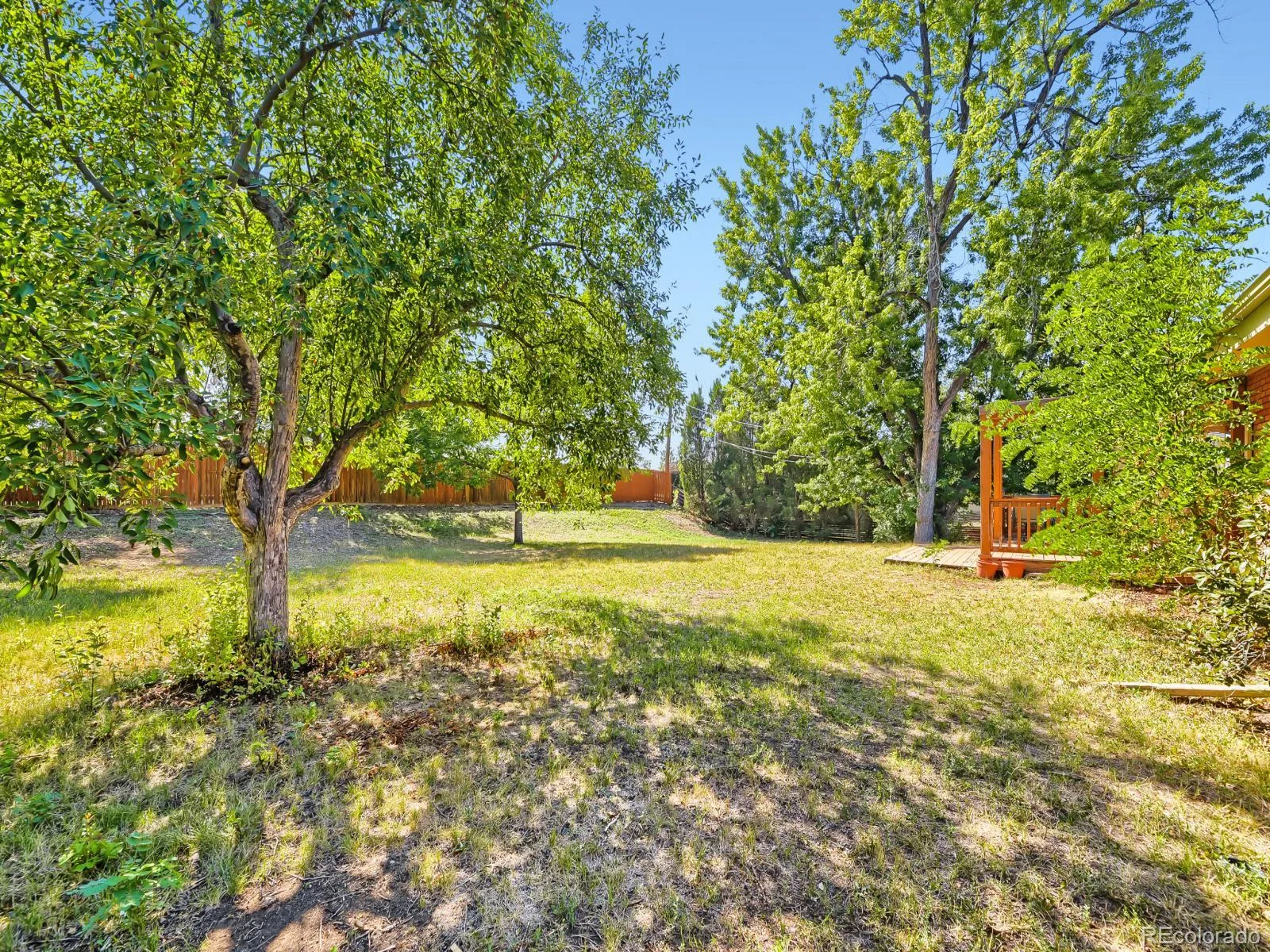 3020 Ingalls Street Denver CO 80214 | MLS #REC6792442 07302026024330 1600 28