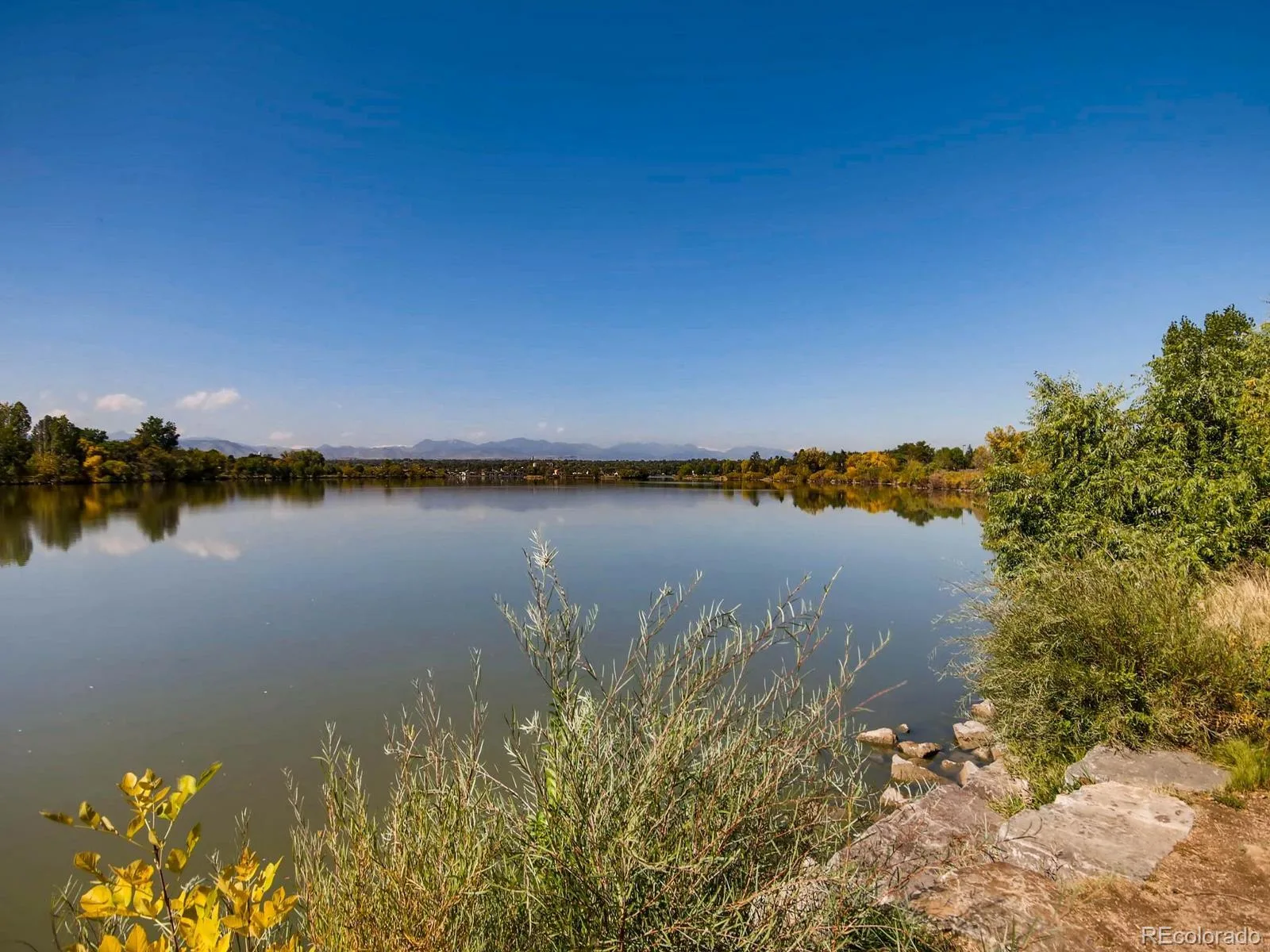 3020 Ingalls Street Denver CO 80214 | MLS #REC6792442 07302026024330 1600 29