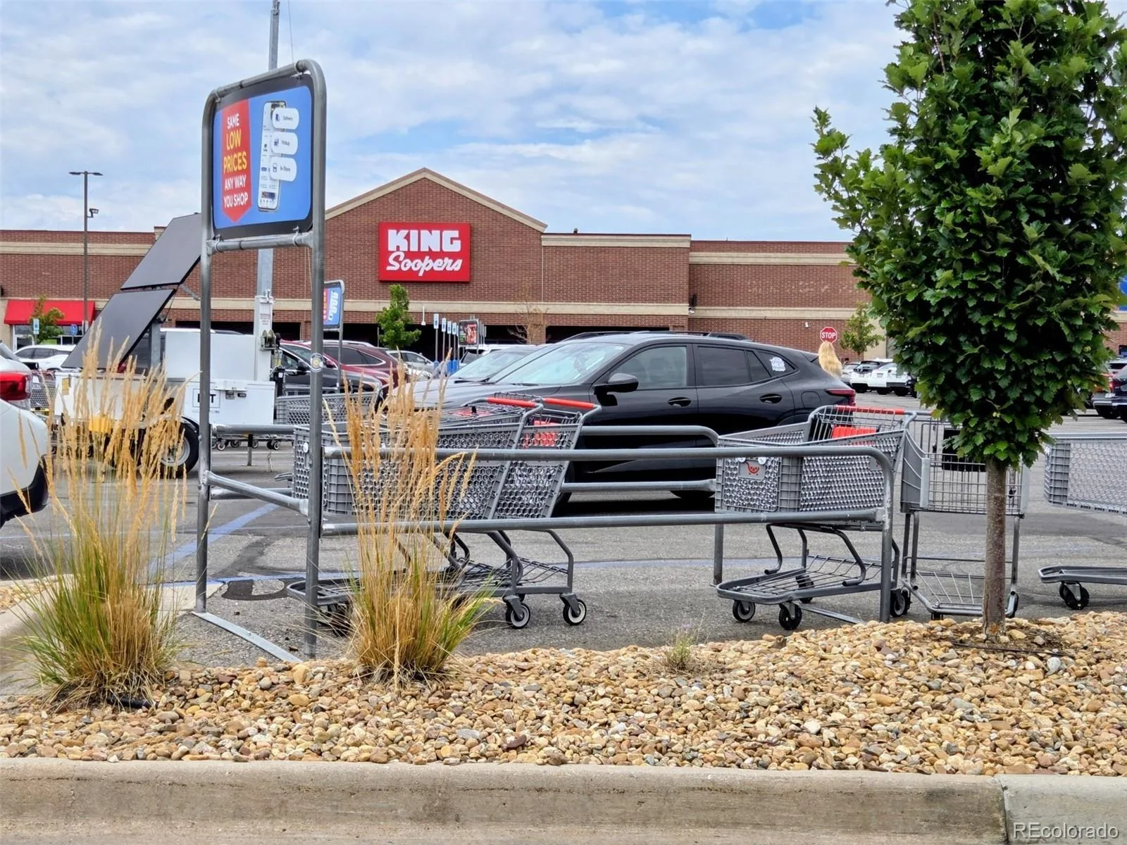 3020 Ingalls Street Denver CO 80214 | MLS #REC6792442 07302026024330 1600 40