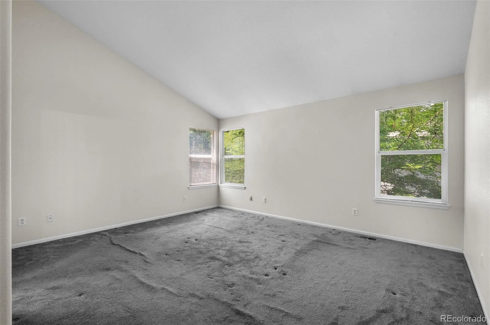 8359 S Flower Way Littleton CO 80128 | MLS #REC6794885 07252026154934 1600 15
